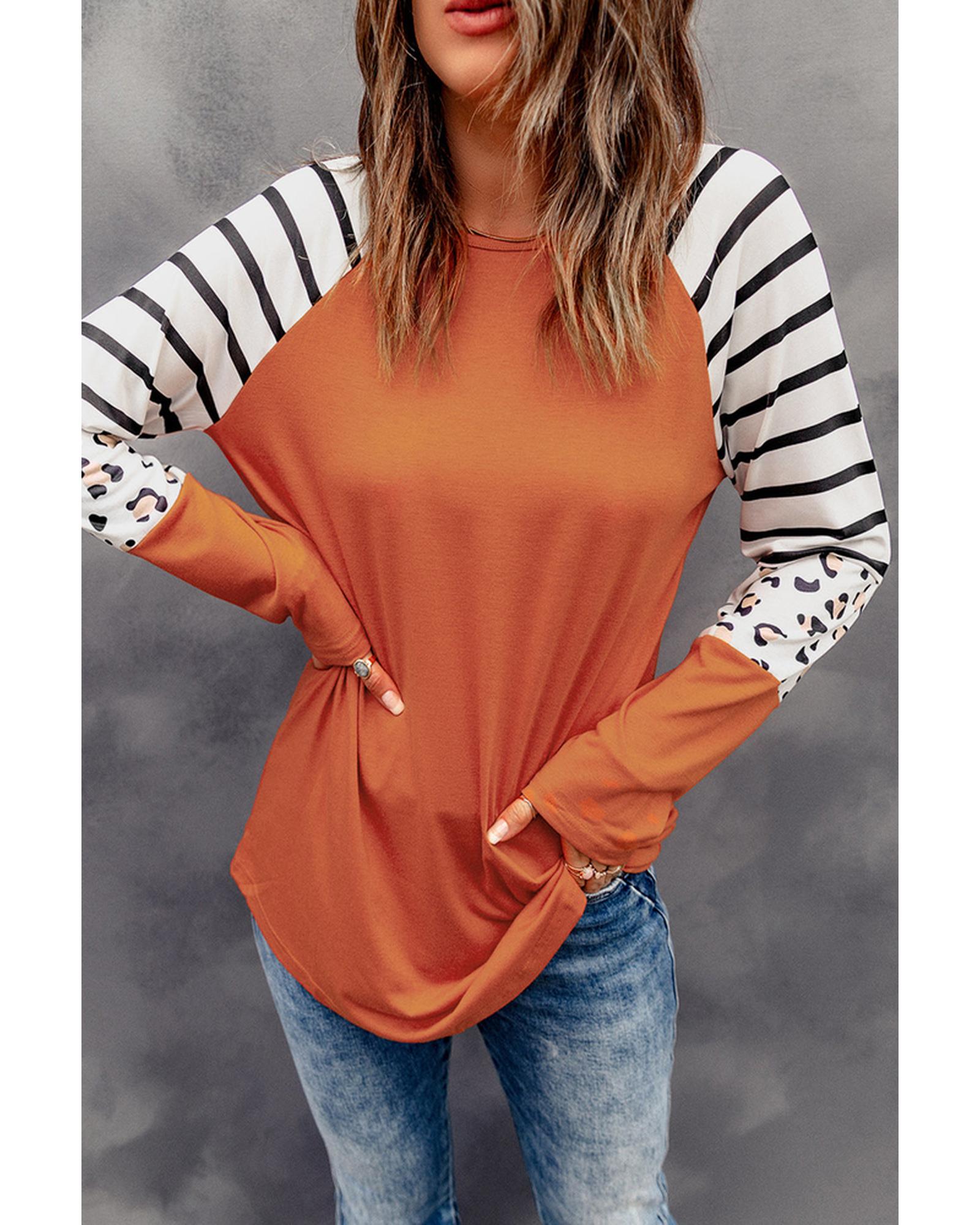 Azura Exchange Animal Print Long Sleeve Top with Striped Colorblock - M