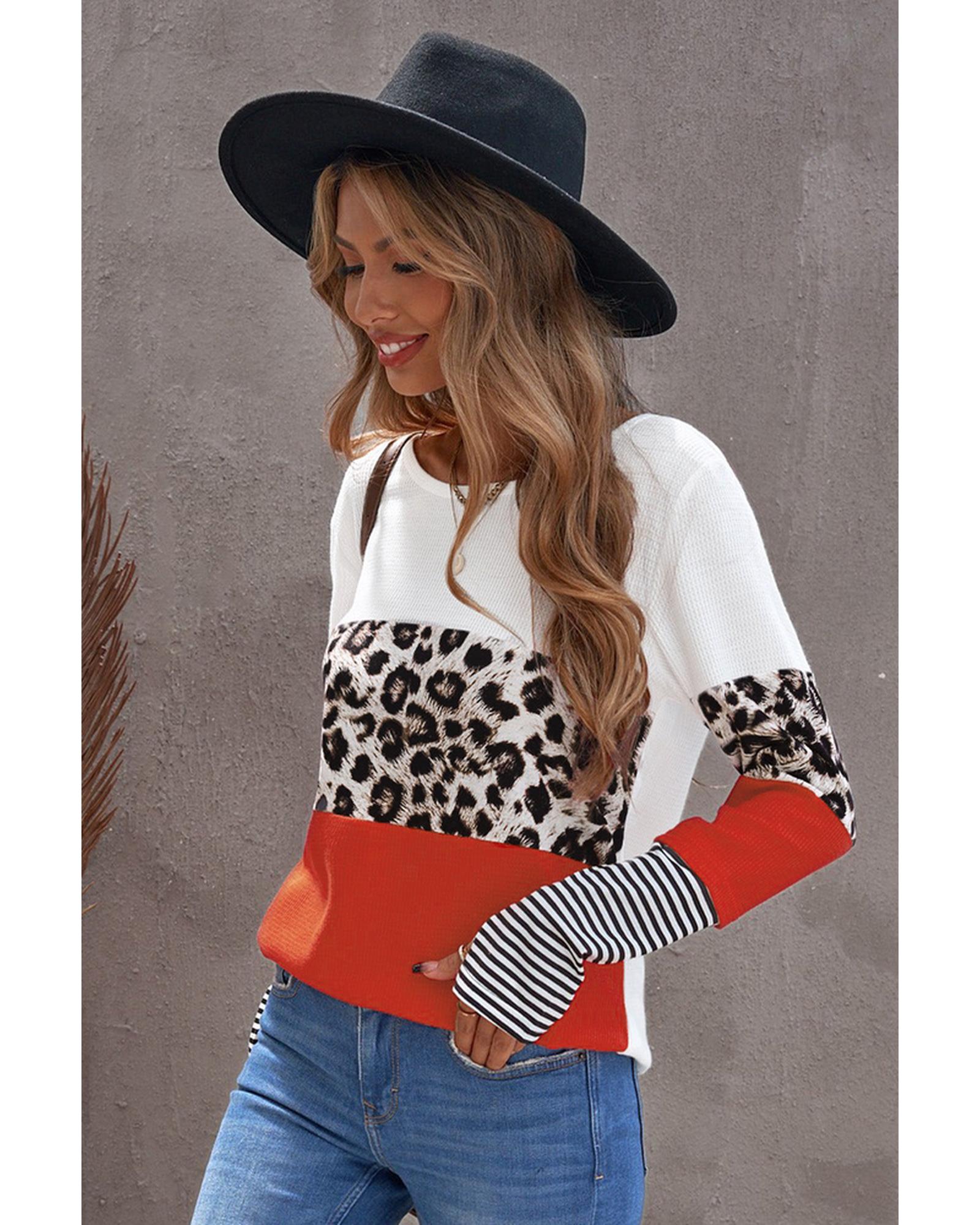 Azura Exchange Leopard Colorblock Long Sleeve Top - XL