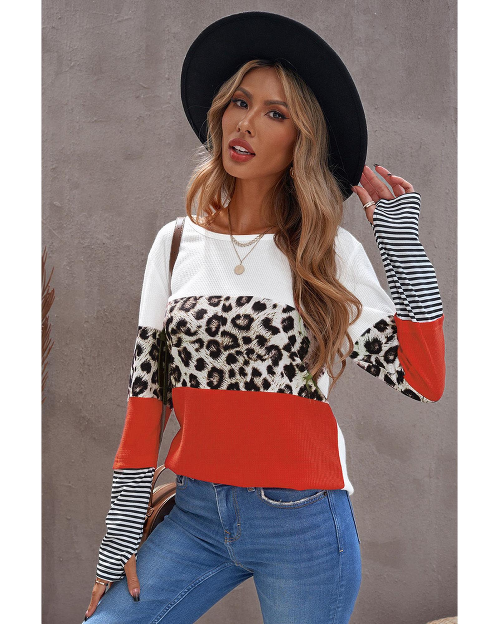 Azura Exchange Leopard Colorblock Long Sleeve Top - XL