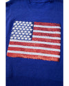 Bluing Sparkling American Flag Knitted Vest - XL