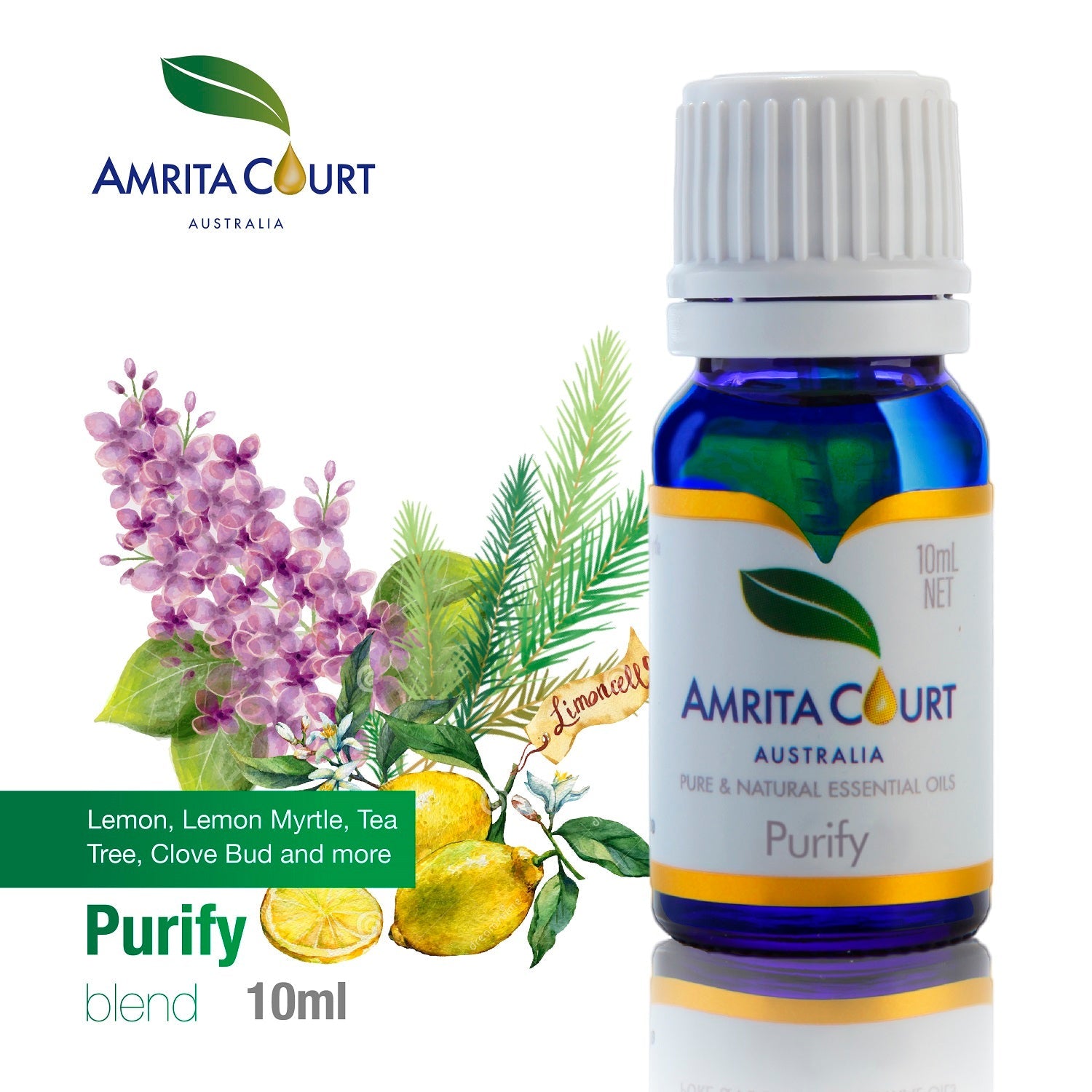 Gift Box - Crystal Bottle (Amethyst) + Purify Oil Blend