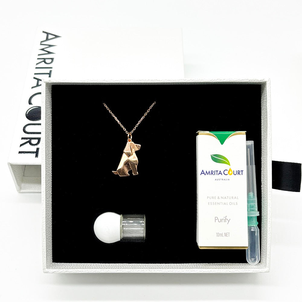 Gift Box - Dog Rose Gold Aroma Necklace + Purify Oil Blend